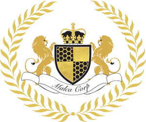 MalcaCorp Logo - Enterprise CRM and ERP Software Solutions